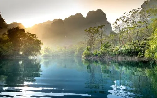 绿色绿色高标准